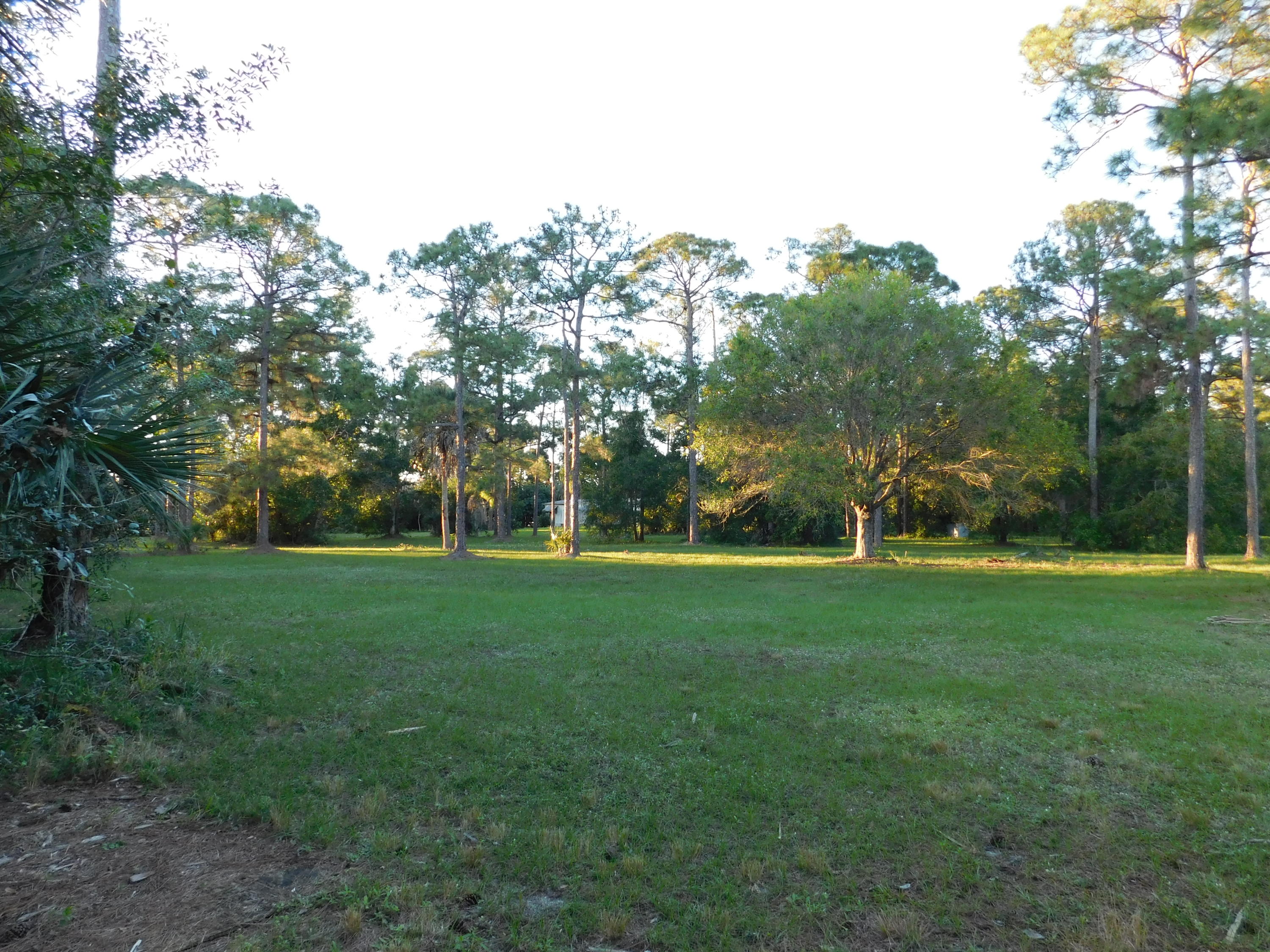 13387 17th Road North Loxahatchee Groves, FL 33470 - Photo 4 of 14 5 GORGEOUS ACRES
