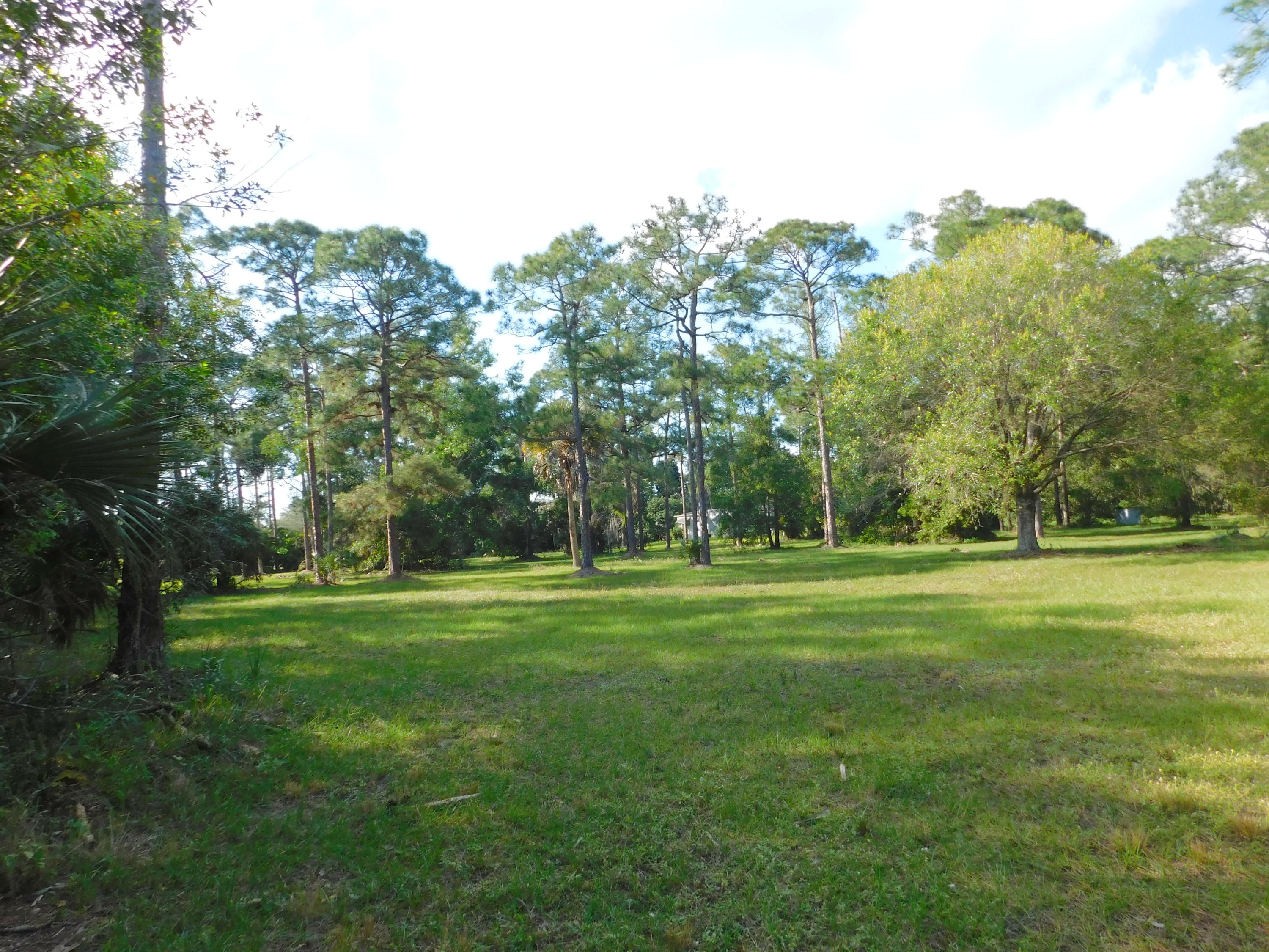 13387 17th Road North Loxahatchee Groves, FL 33470 - Photo 8 of 14 Grass field