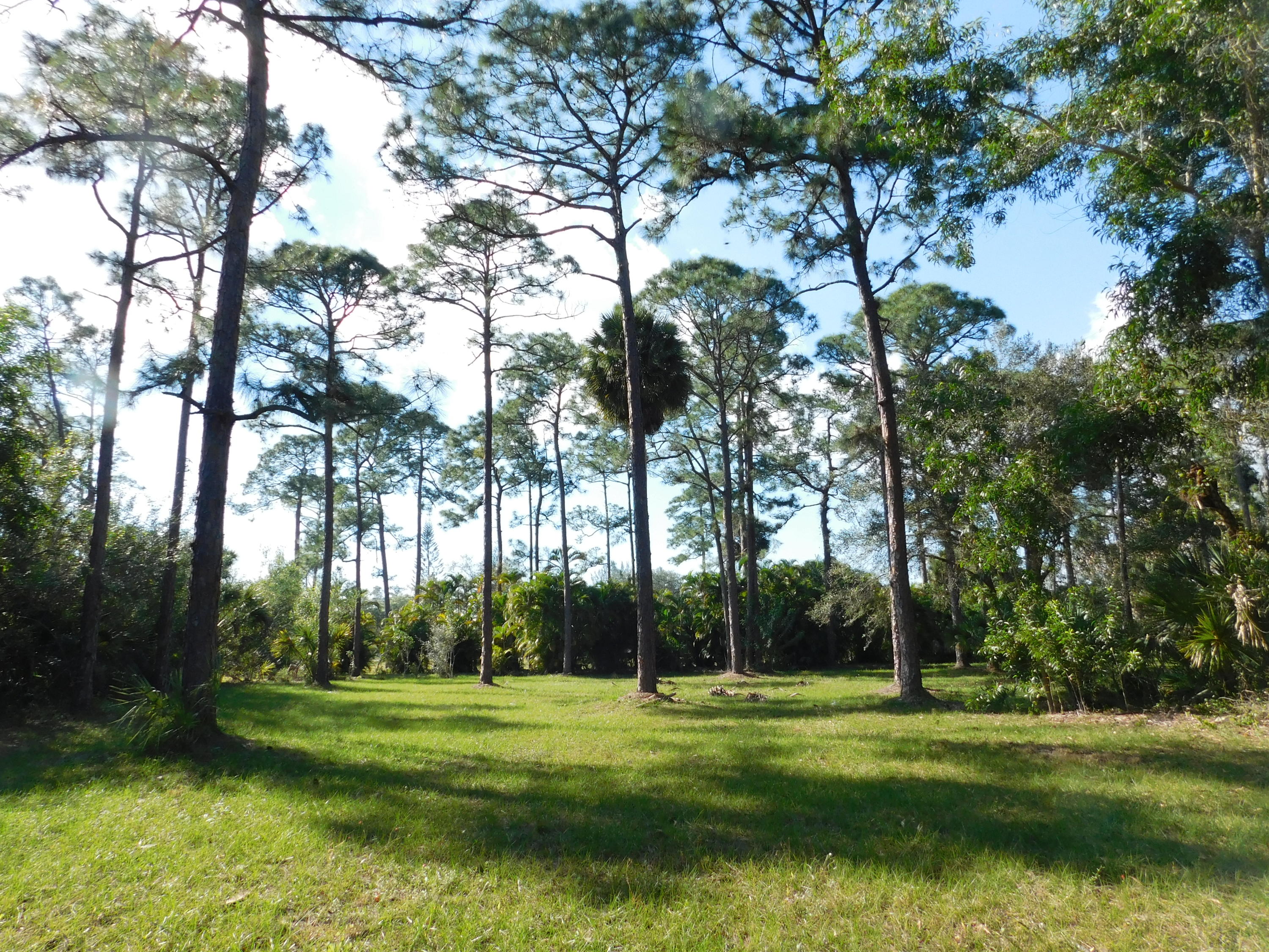 13387 17th Road North Loxahatchee Groves, FL 33470 - Photo 9 of 14 Close to Horse shows