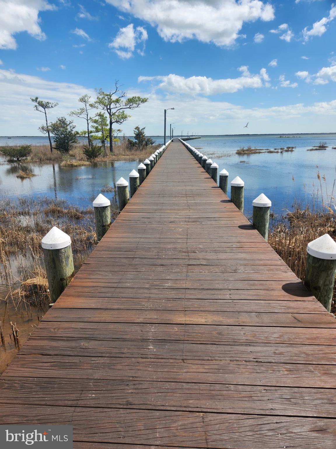 12407 Pegleg Way Berlin, MD 21811 - Photo 14 of 86 1000ft. Fishing & Crabbing Pier