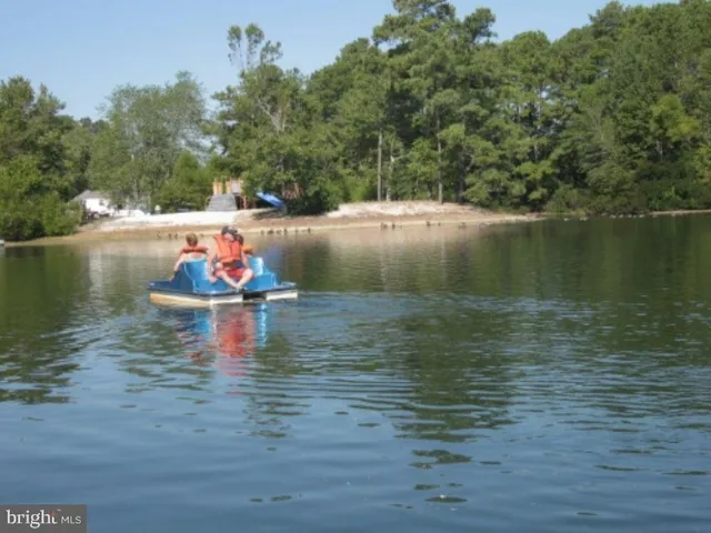 a view of a lake from a yard