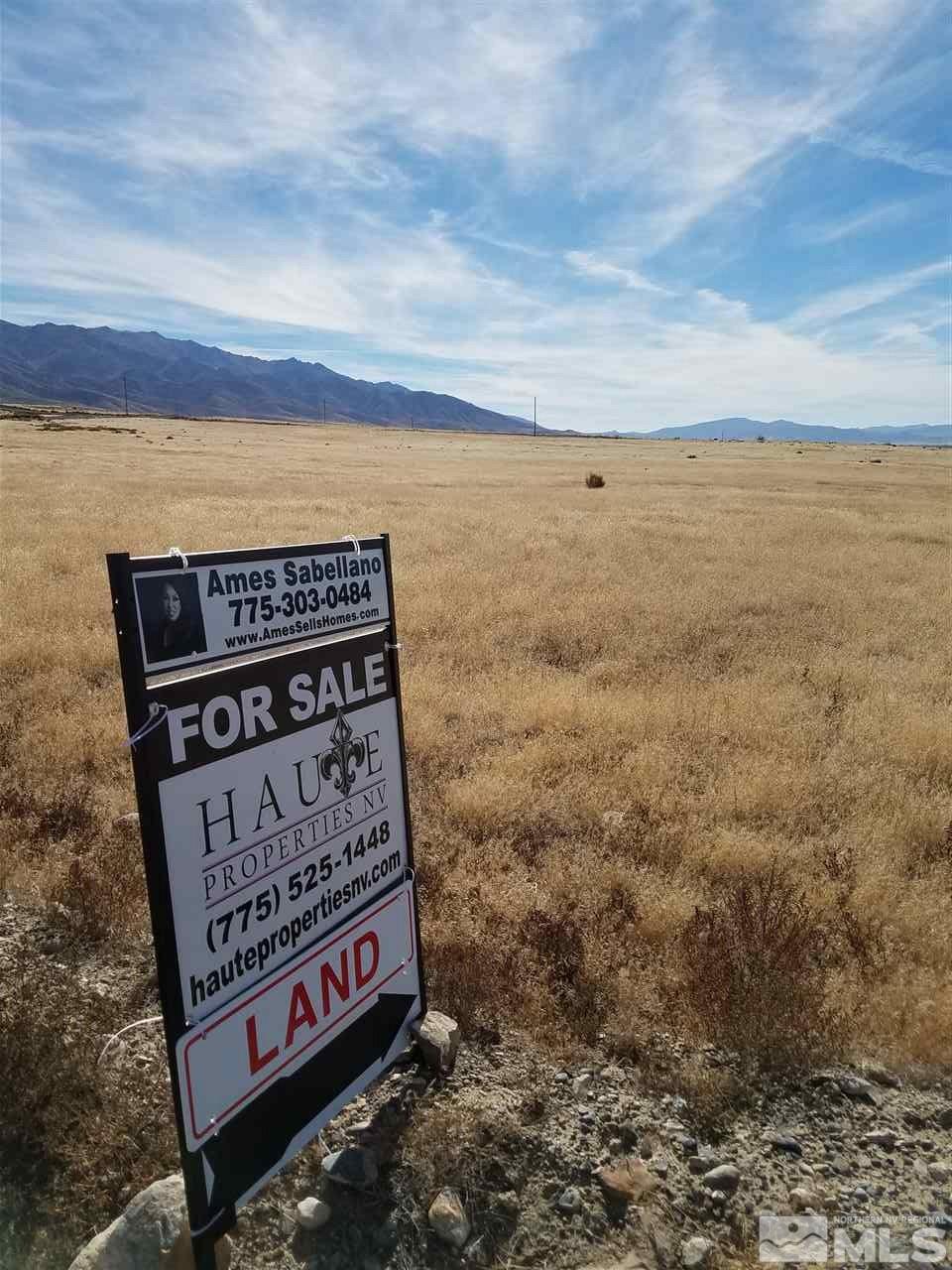 11655 Mammoth Pool Road, Unit 302 Lovelock, NV 89419 - Photo 4 of 12 Photo 4