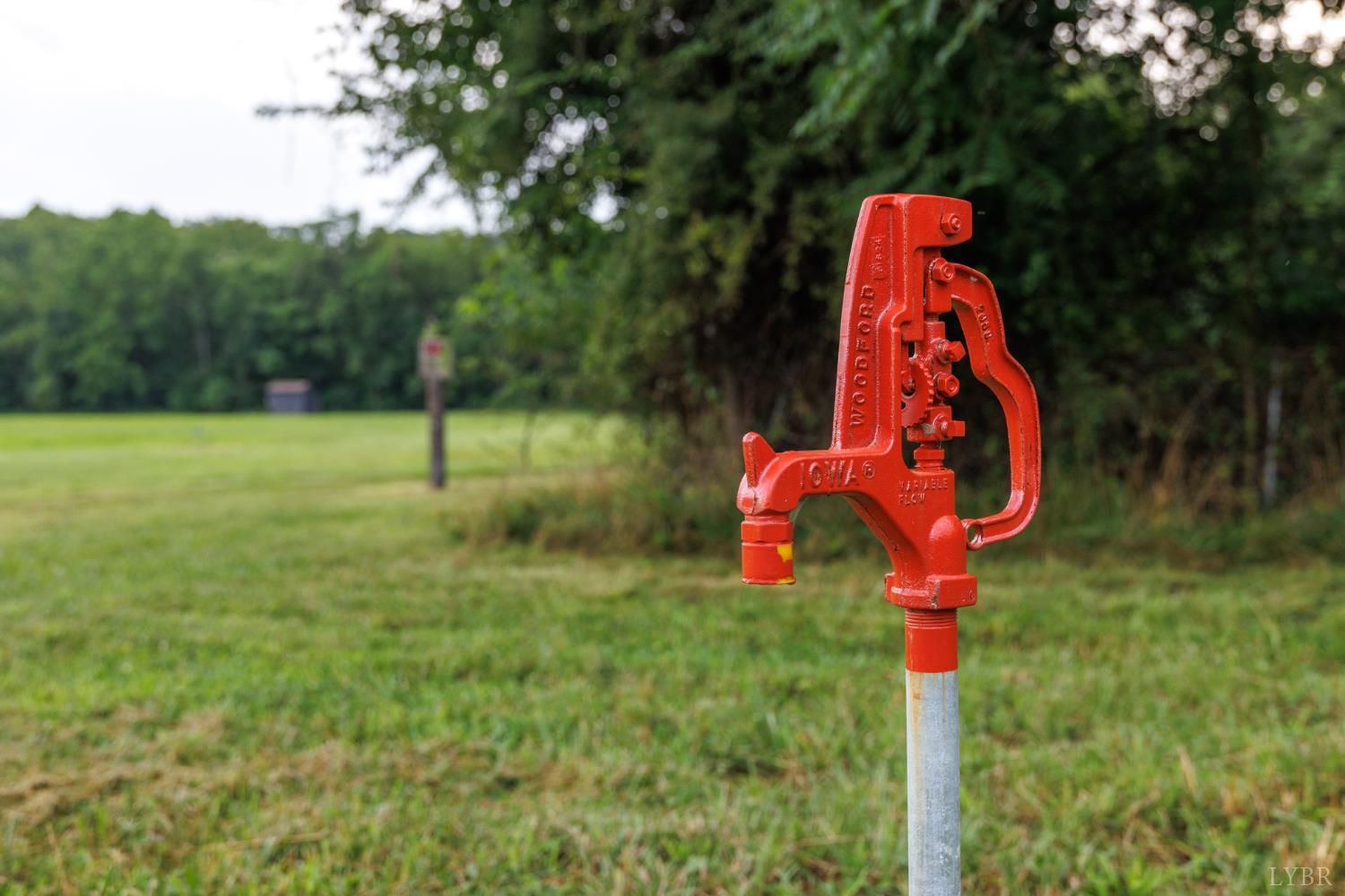 0 41 News Road Eagle Rock, VA 24085 - Photo 44 of 51 a flag is in the middle of a tree