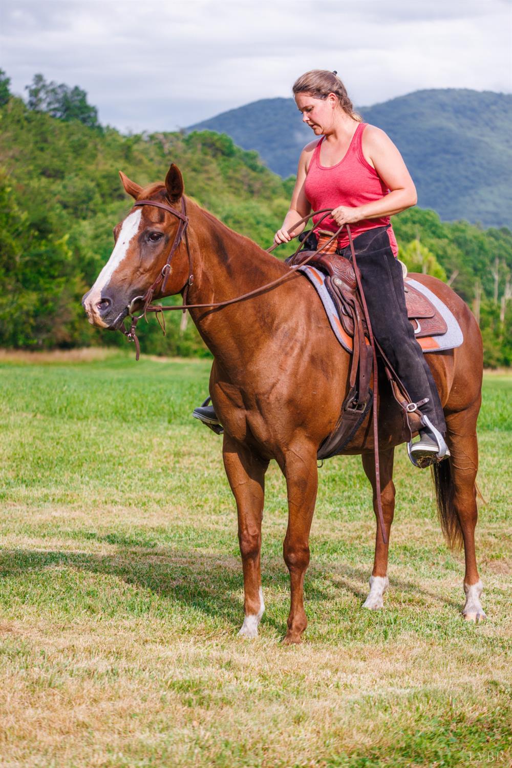 0 41 News Road Eagle Rock, VA 24085 - Photo 8 of 51 a view of a yard with table and chairs