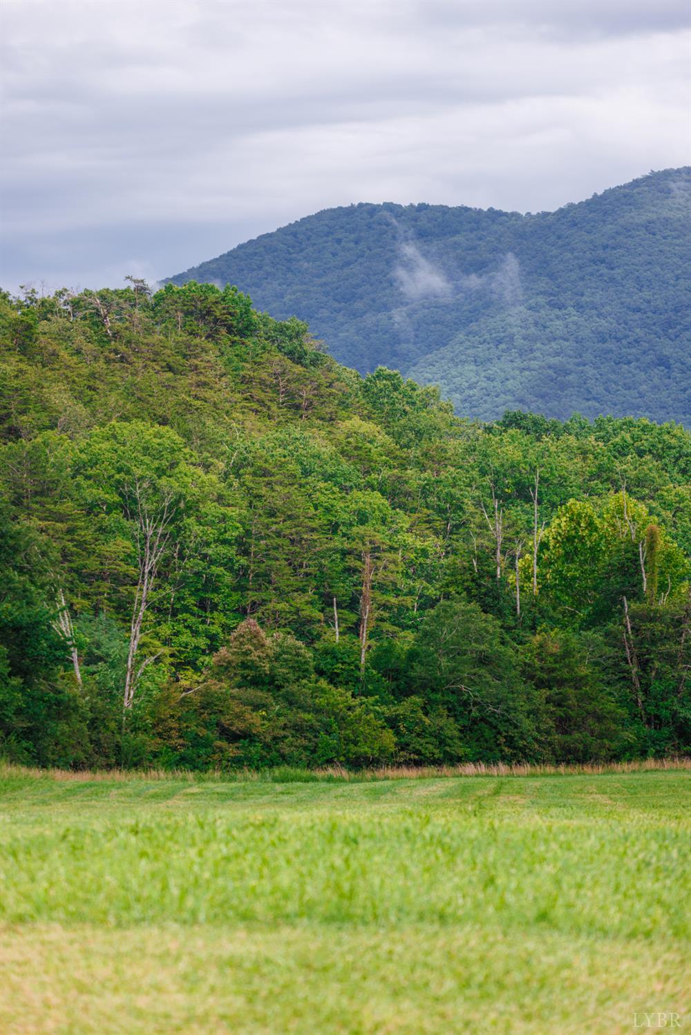 0 41 News Road Eagle Rock, VA 24085 - Photo 9 of 51 a view of an outdoor space and a yard