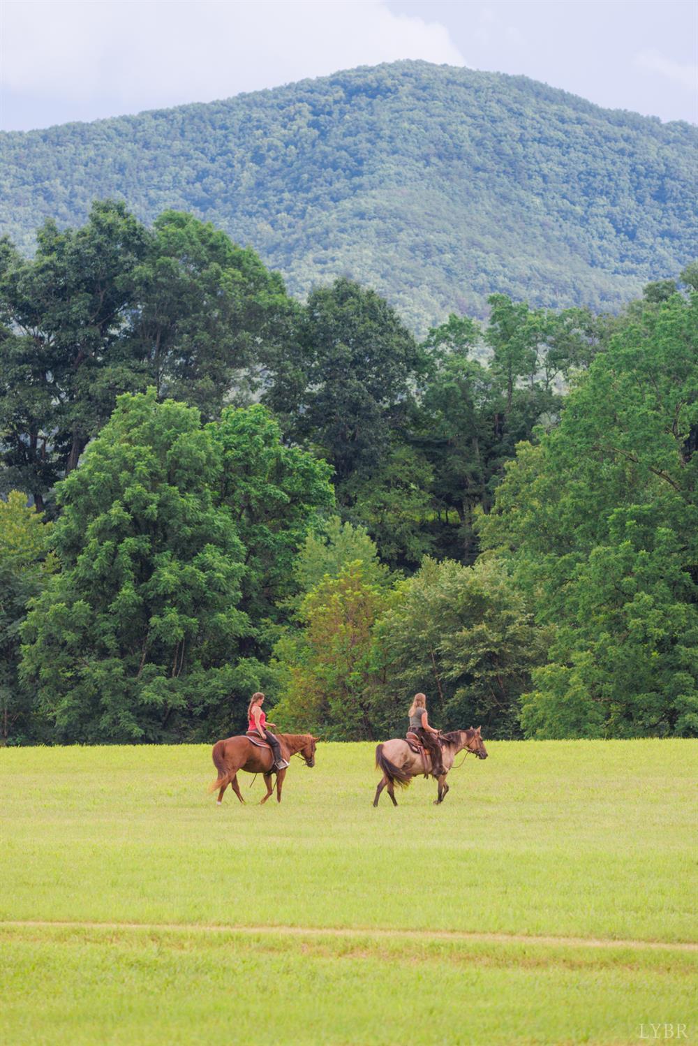 0 41 News Road Eagle Rock, VA 24085 - Photo 10 of 51 a backyard of a house with yard and outdoor seating