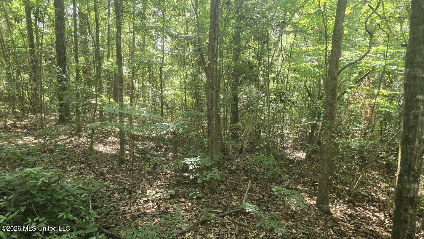 Addison Road State Line, MS 39362 - Photo 2 of 32 20260602_100944