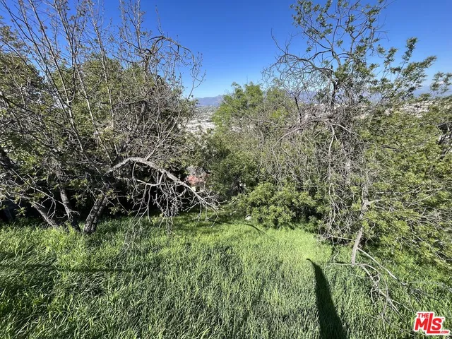 a view of a bunch of trees