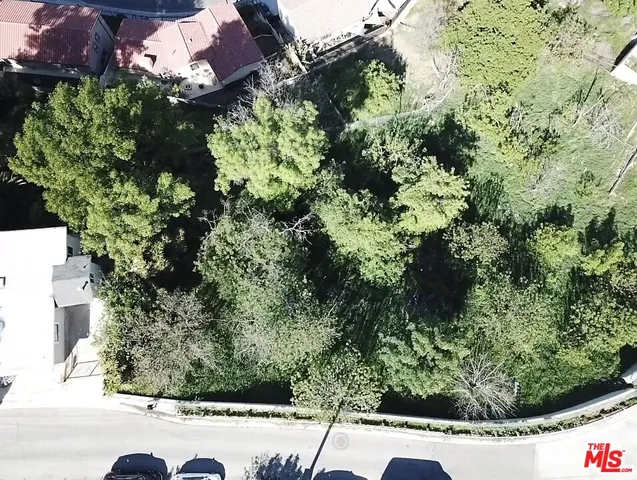 a picture of a tree with a flower