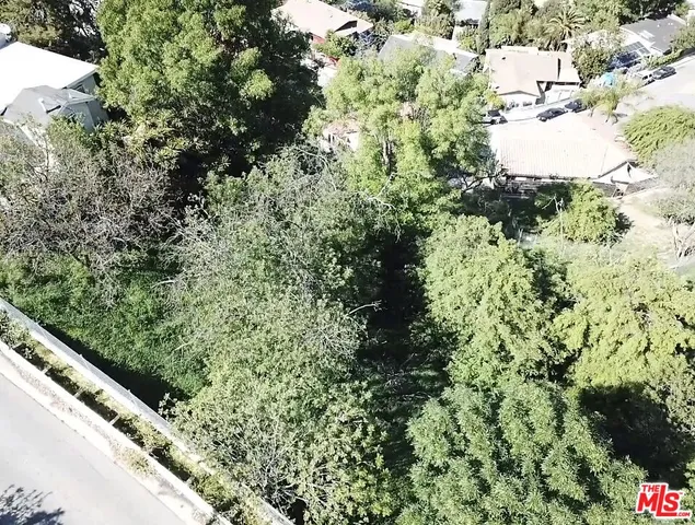 a view of a yard with plants and wooden fence