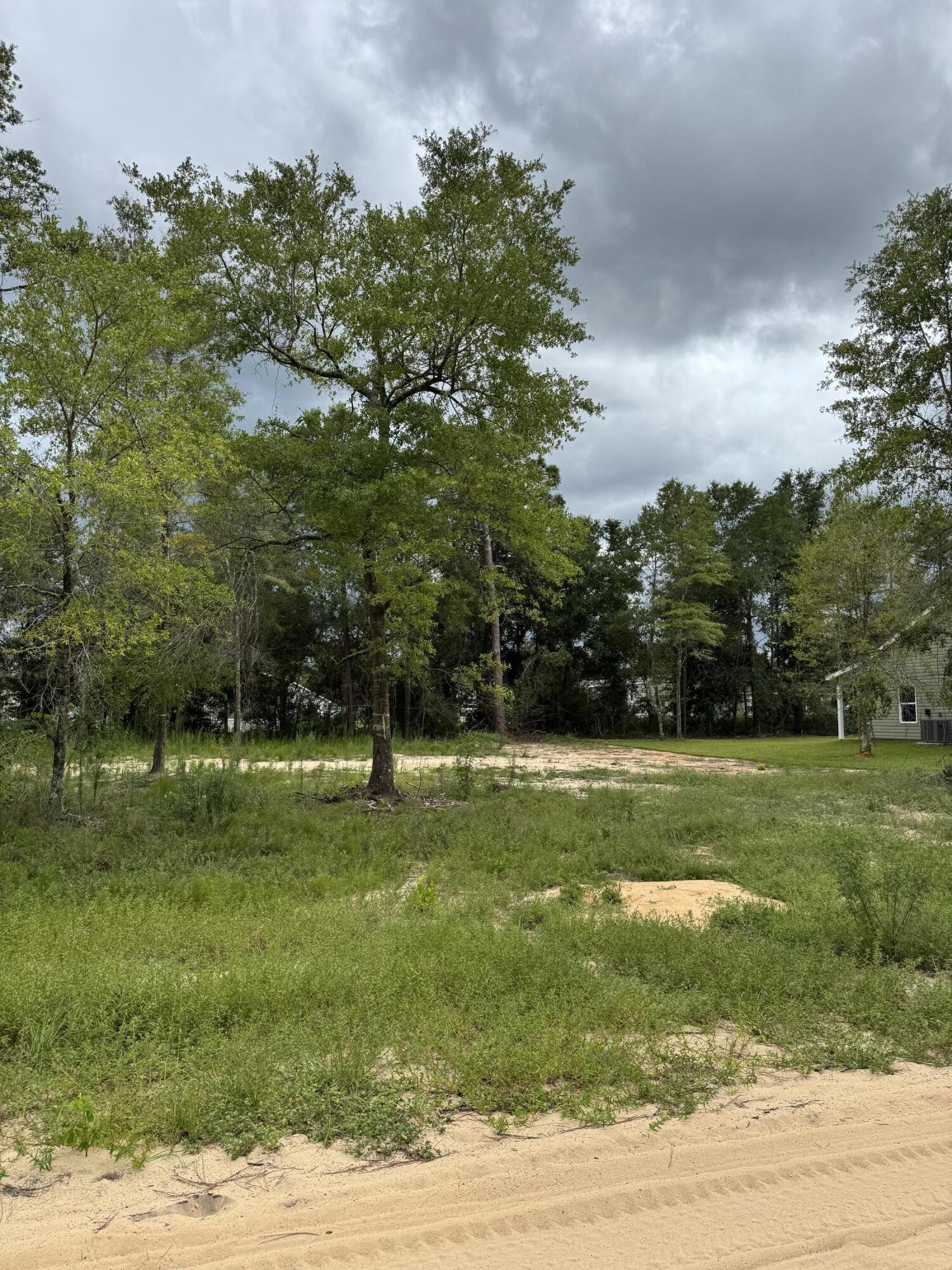 Tbd Eagle Way Crestview, FL 32539 - Photo 1 of 1 a view of a park