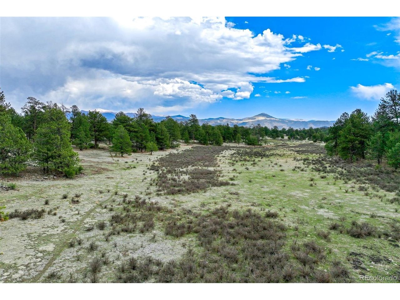 103 Doe Valley Road Guffey, CO 80820 - Photo 1 of 46
