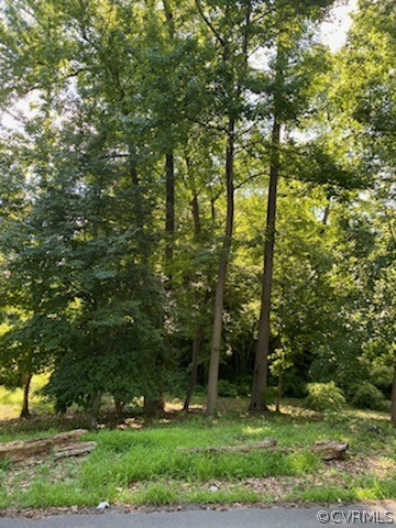 6237 Hickory Ridge Road Spotsylvania, VA 22551 - Photo 2 of 3