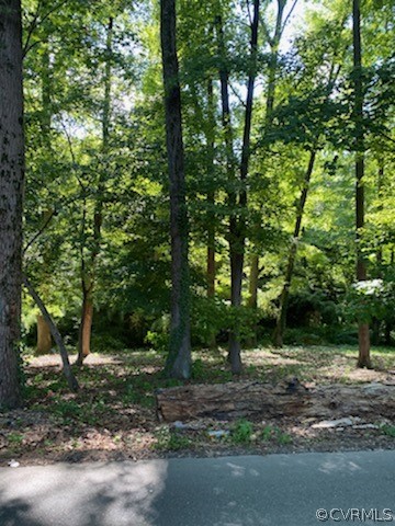 6237 Hickory Ridge Road Spotsylvania, VA 22551 - Photo 3 of 3
