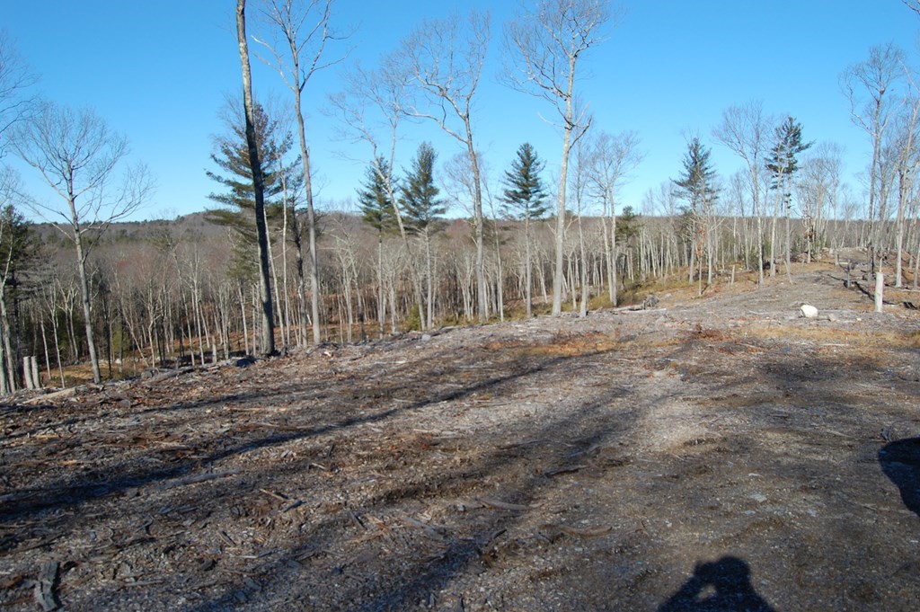 0 A Young Road Charlton, MA 01507 - Photo 1 of 2 a backyard of a house with lots of green space