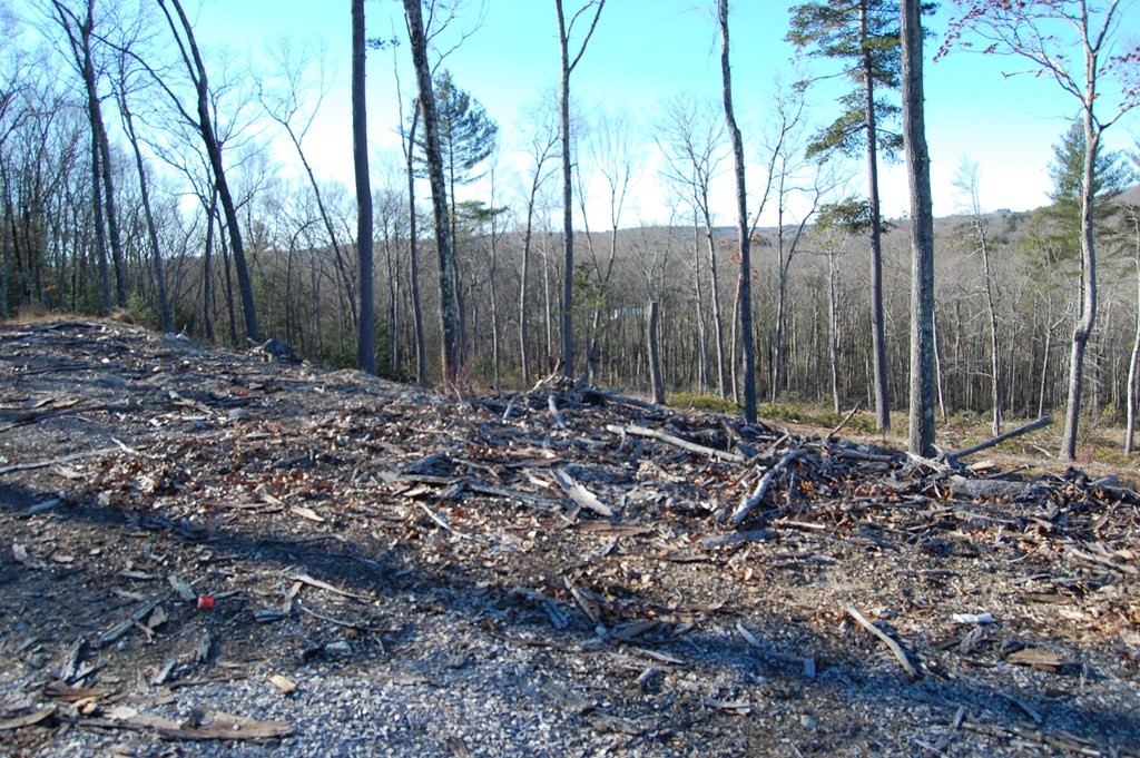 0 A Young Road Charlton, MA 01507 - Photo 2 of 2 a view of outdoor space with lots of trees