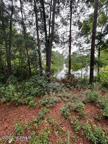 344 Okeechobee Road Wilmington, NC 28412 - Photo 2 of 3 IMG_6963