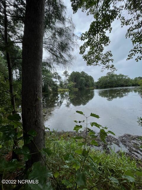 344 Okeechobee Road Wilmington, NC 28412 - Photo 3 of 3 IMG_6964