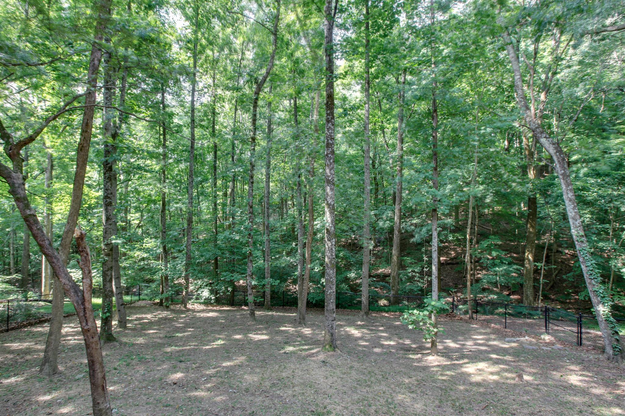 823 High Point Ridge Road Franklin, TN 37069 - Photo 28 of 30 a view of a field with trees in the background
