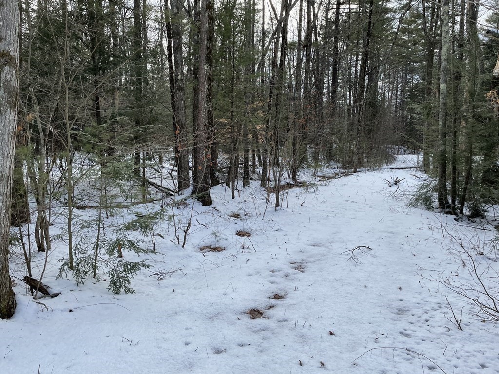 105 Sand Hill Road Shutesbury, MA 01072 - Photo 30 of 30 a view of a covered with snow in the forest