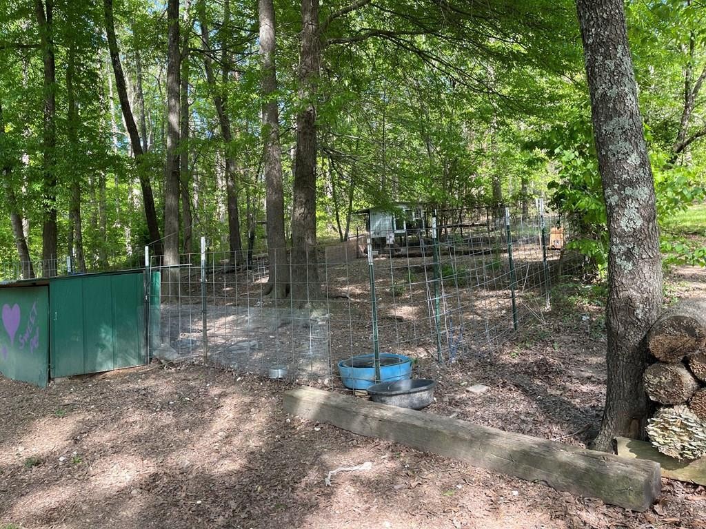302 Wetmore Springs Road Delano, TN 37325 - Photo 16 of 29 Gallery Image 16