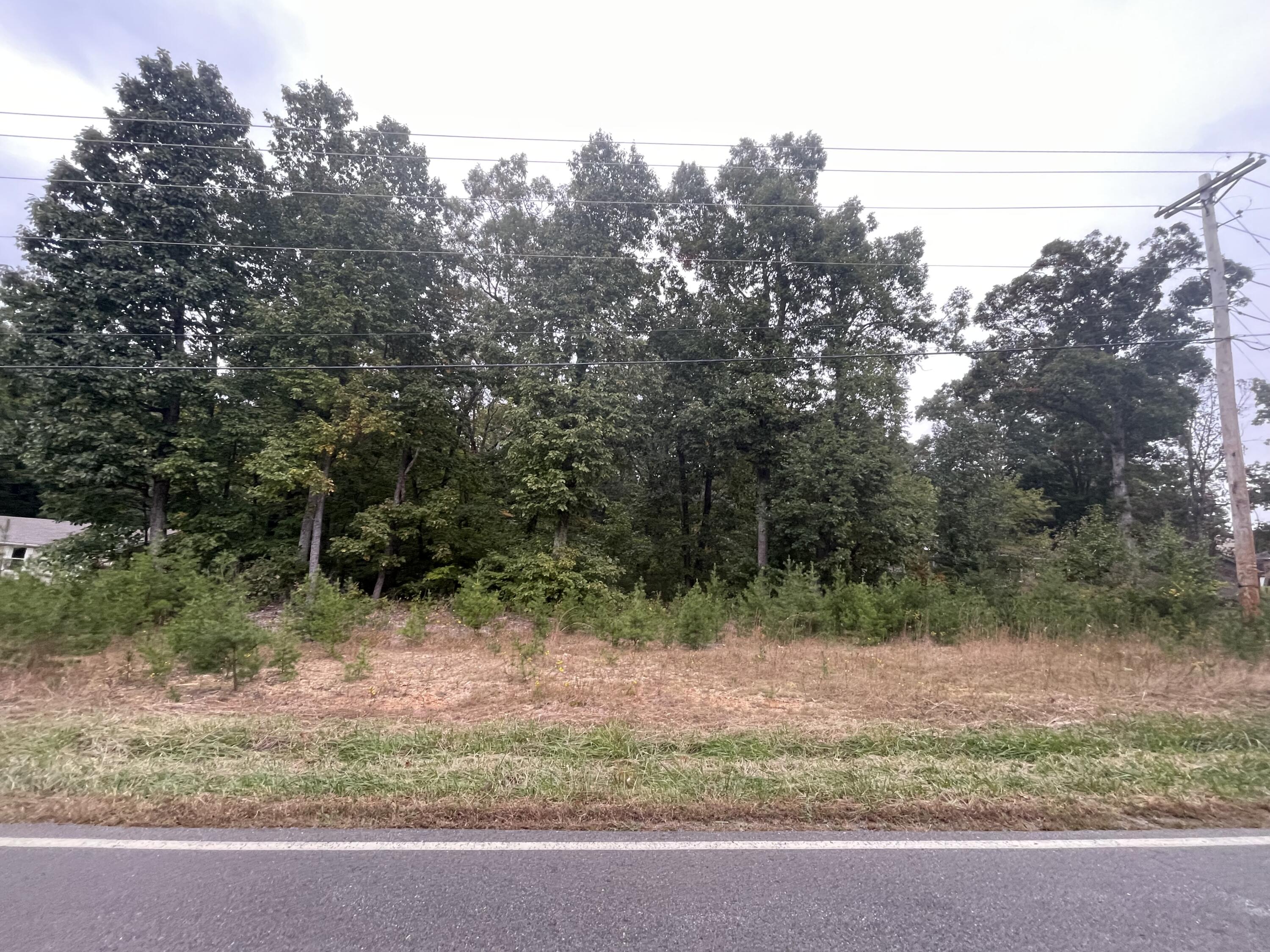 Lot 13 Webster Road Glade Hill, VA 24092 - Photo 1 of 1 Webster Rd