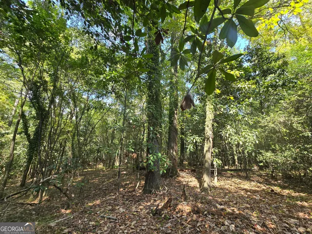 $169,000 | 0 Magnolia Drive, McIntyre, GA 31054