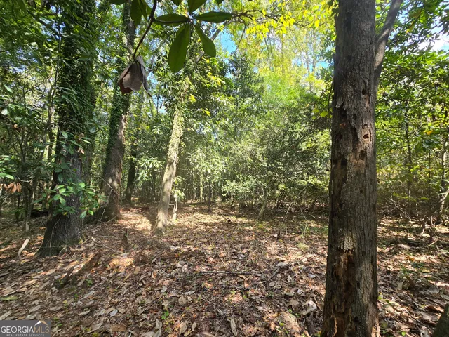 $169,000 | 0 Magnolia Drive, McIntyre, GA 31054