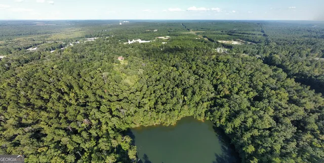 $169,000 | 0 Magnolia Drive, McIntyre, GA 31054