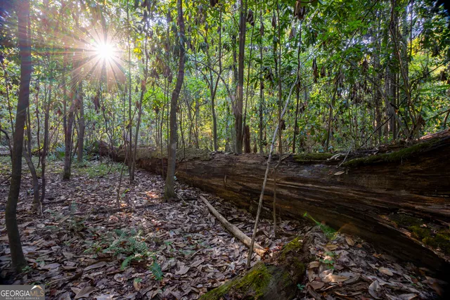 $169,000 | 0 Magnolia Drive, McIntyre, GA 31054