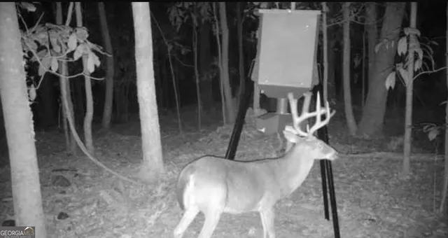 $169,000 | 0 Magnolia Drive, McIntyre, GA 31054