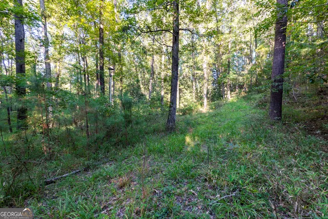 $169,000 | 0 Magnolia Drive, McIntyre, GA 31054