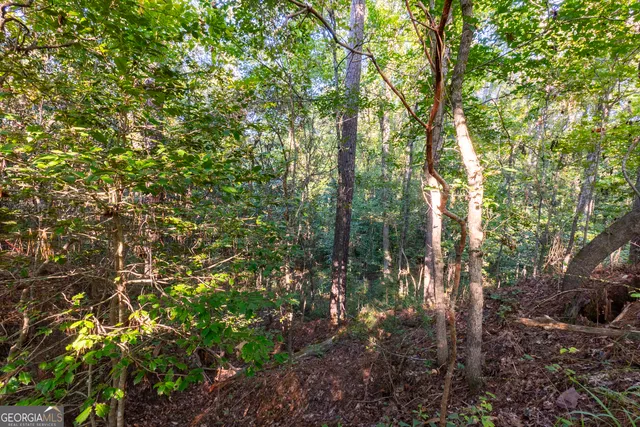 $169,000 | 0 Magnolia Drive, McIntyre, GA 31054