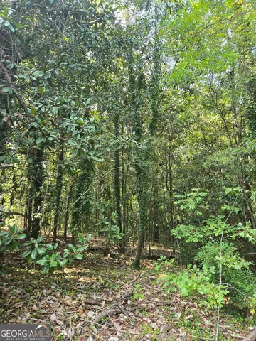 $169,000 | 0 Magnolia Drive, McIntyre, GA 31054