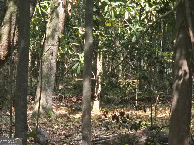 $169,000 | 0 Magnolia Drive, McIntyre, GA 31054