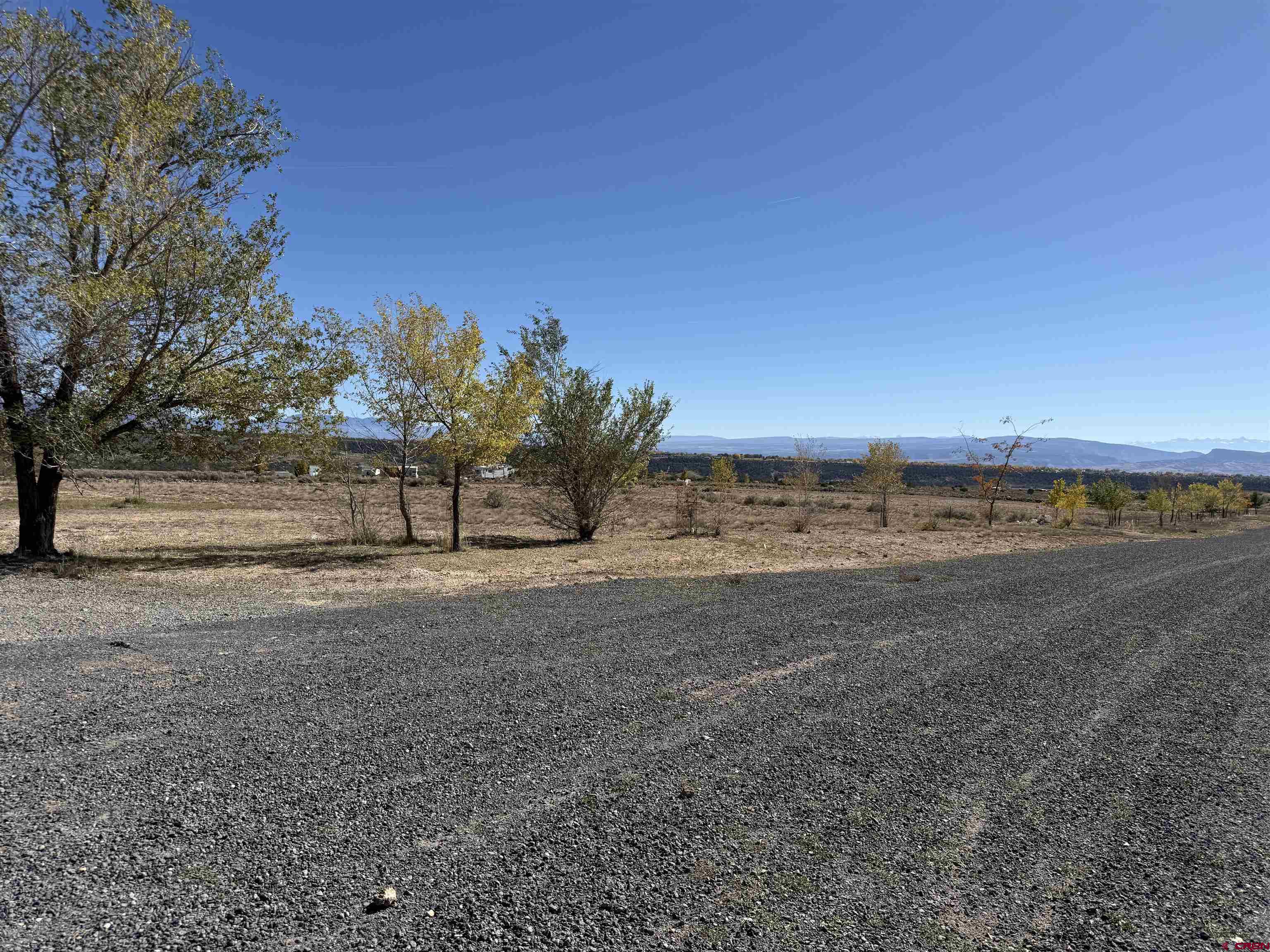 Tbd Lot 7 Tbd Lane Cedaredge, CO 81413 - Photo 4 of 10