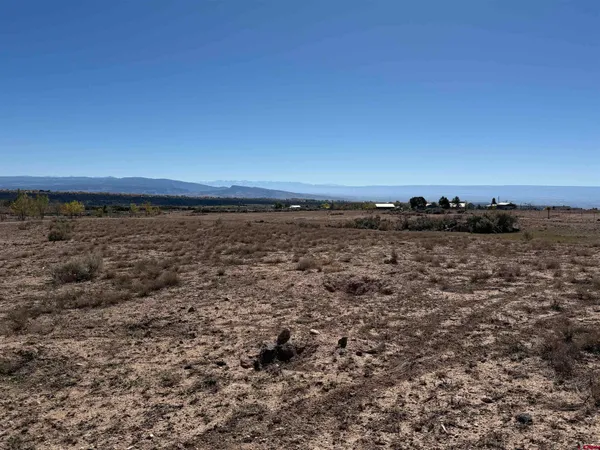 $90,000 | Tbd Lot 7 Tbd Lane, Cedaredge, CO 81413