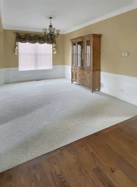 1408 Mink Trail Cary, IL 60013 - Photo 12 of 34 an empty room with a fireplace and windows