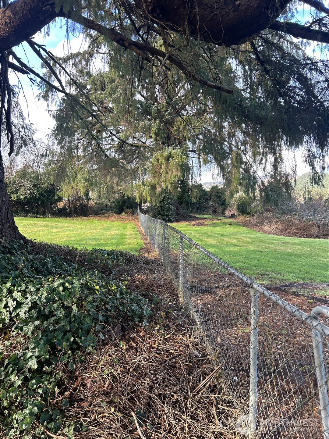 1365 Dolan Street Raymond, WA 98577 - Photo 20 of 24 a view of a golf course with a big yard