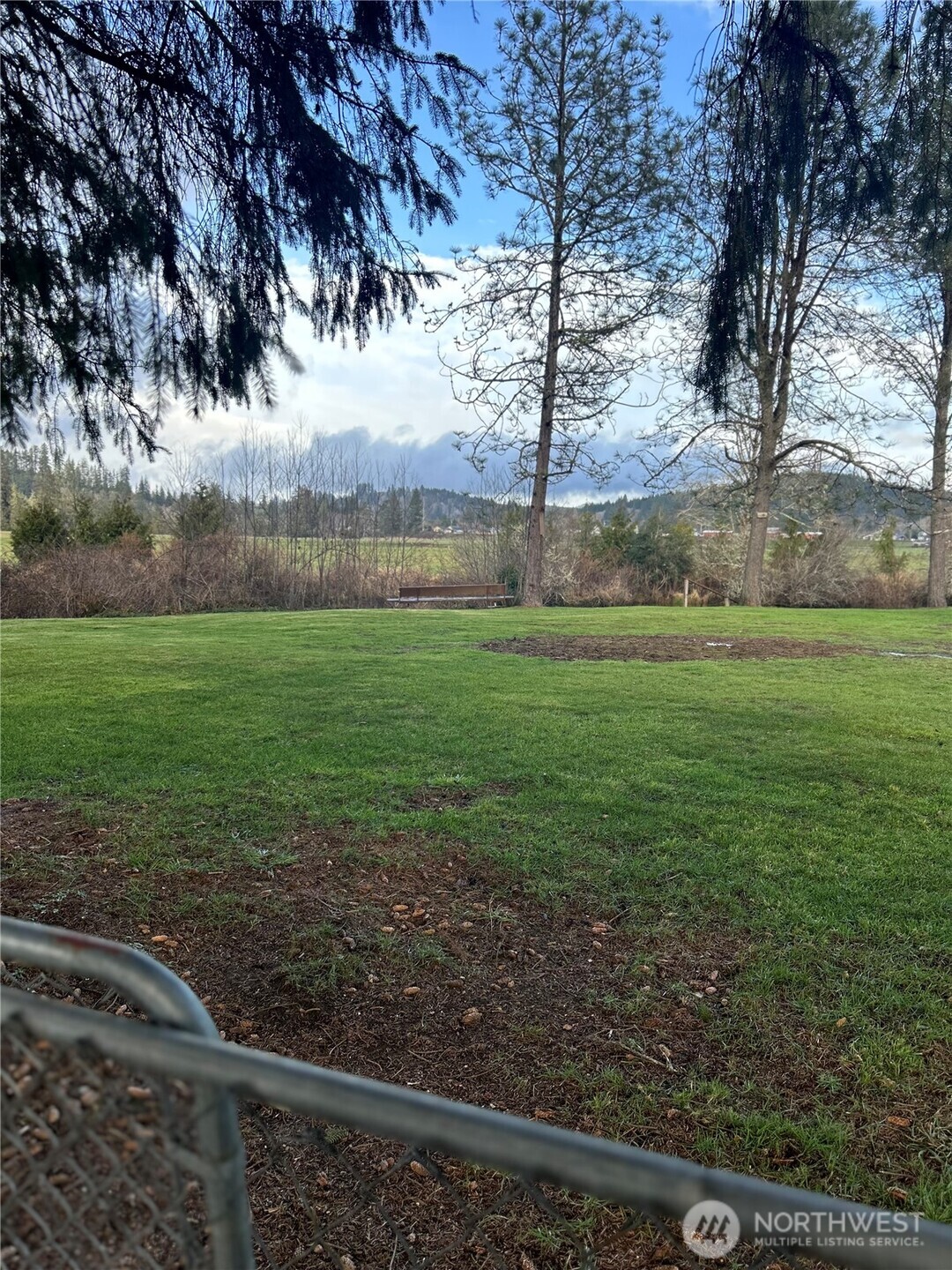 1365 Dolan Street Raymond, WA 98577 - Photo 22 of 24 a view of a yard and an trees