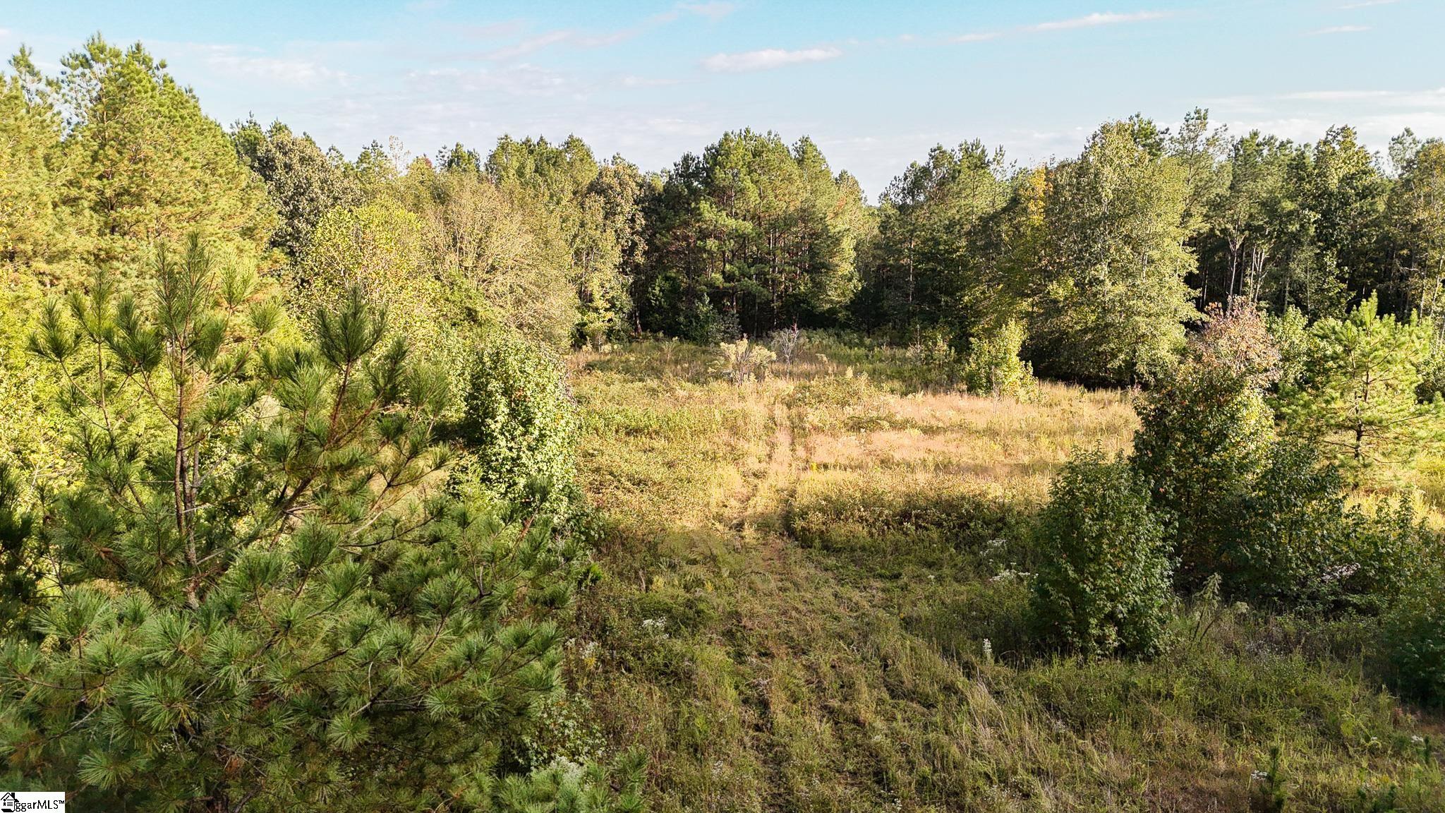 2 Jefferson Davis Road Mountville, SC 29370 - Photo 4 of 21 Gallery Image 4