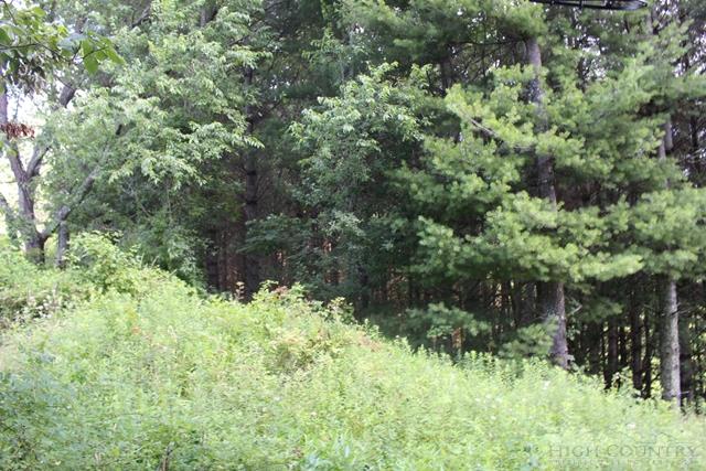 Westra Ridge Crumpler, NC 28617 - Photo 9 of 9 Gallery Image 9