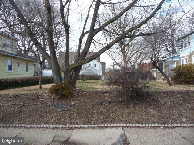 a tree in the middle of a yard