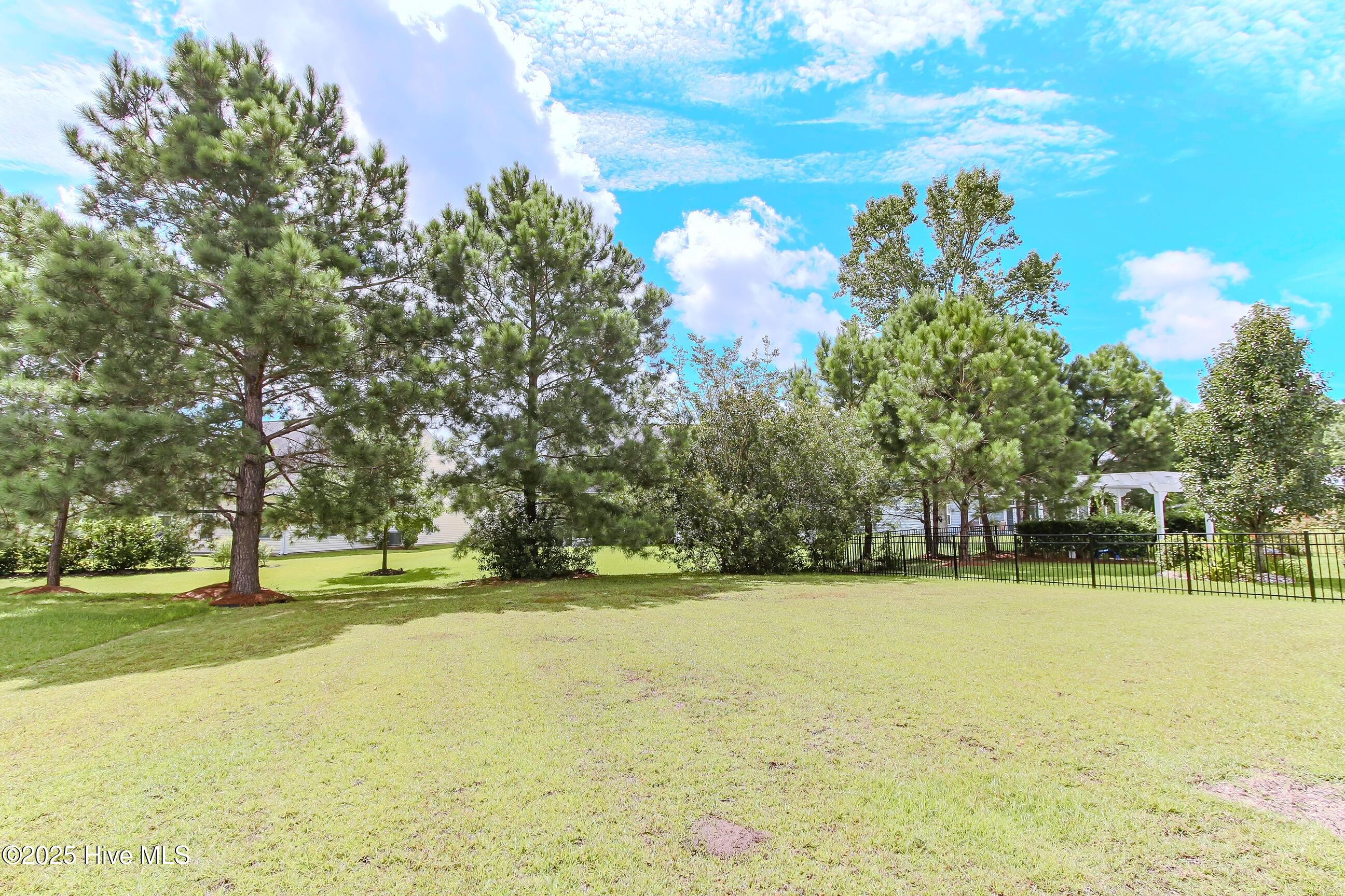 1005 Meadowlands Trail Calabash, NC 28467 - Photo 17 of 17 Backyard