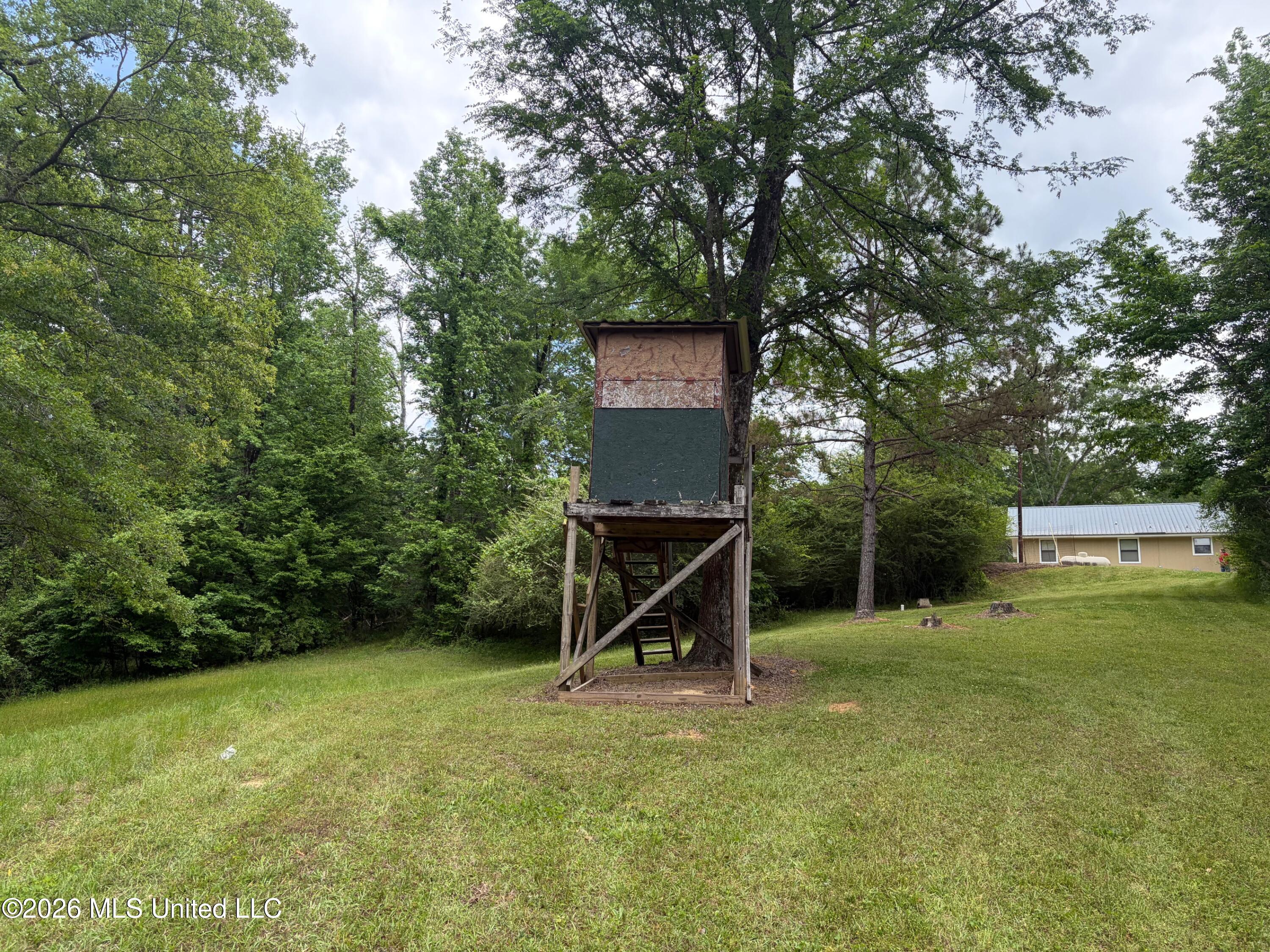 3029 Norman Road Hazlehurst, MS 39083 - Photo 36 of 55 IMG_0907 (1)