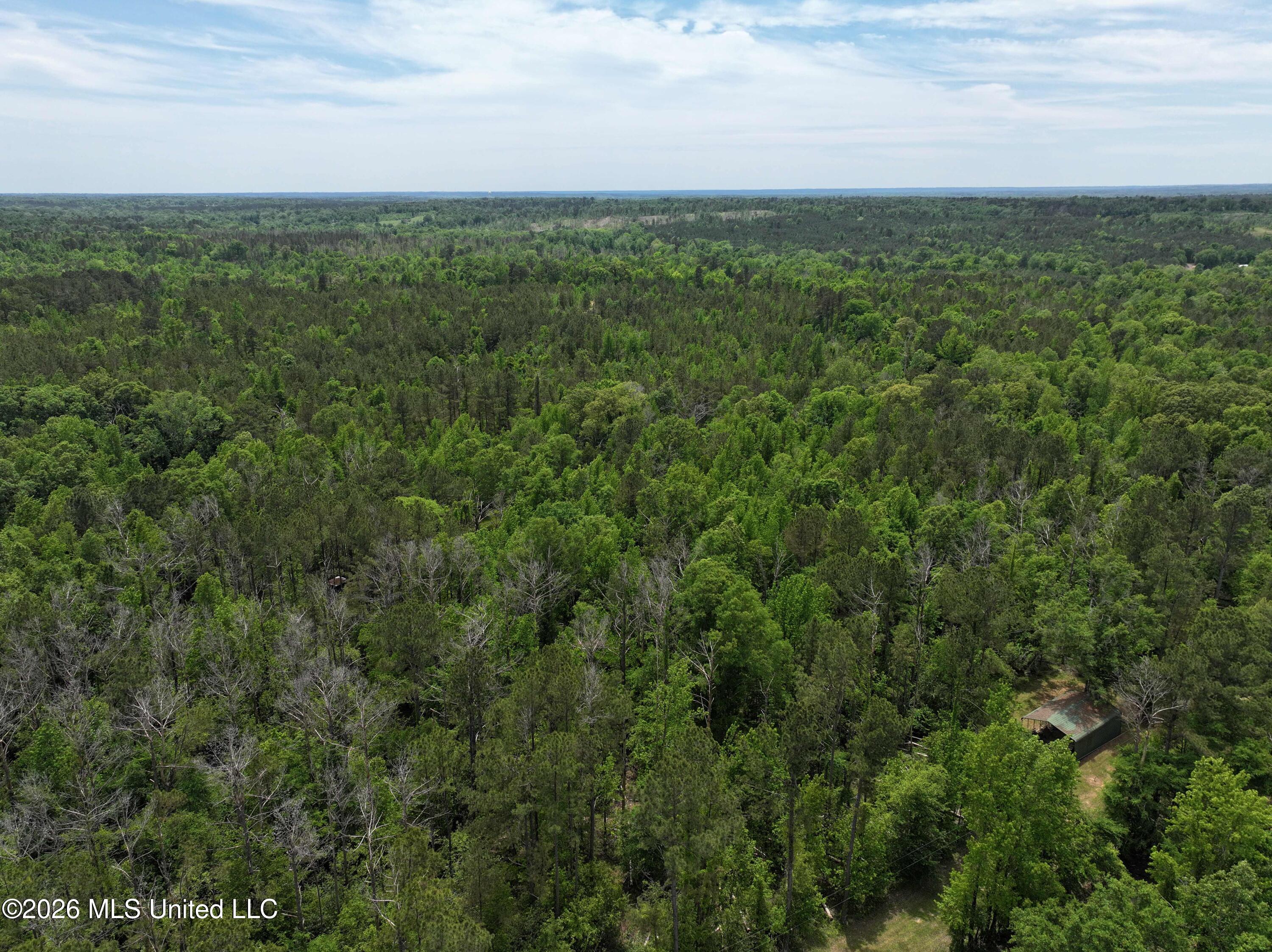 3029 Norman Road Hazlehurst, MS 39083 - Photo 46 of 55 3029 Norman Road Drone Pics and Videos (