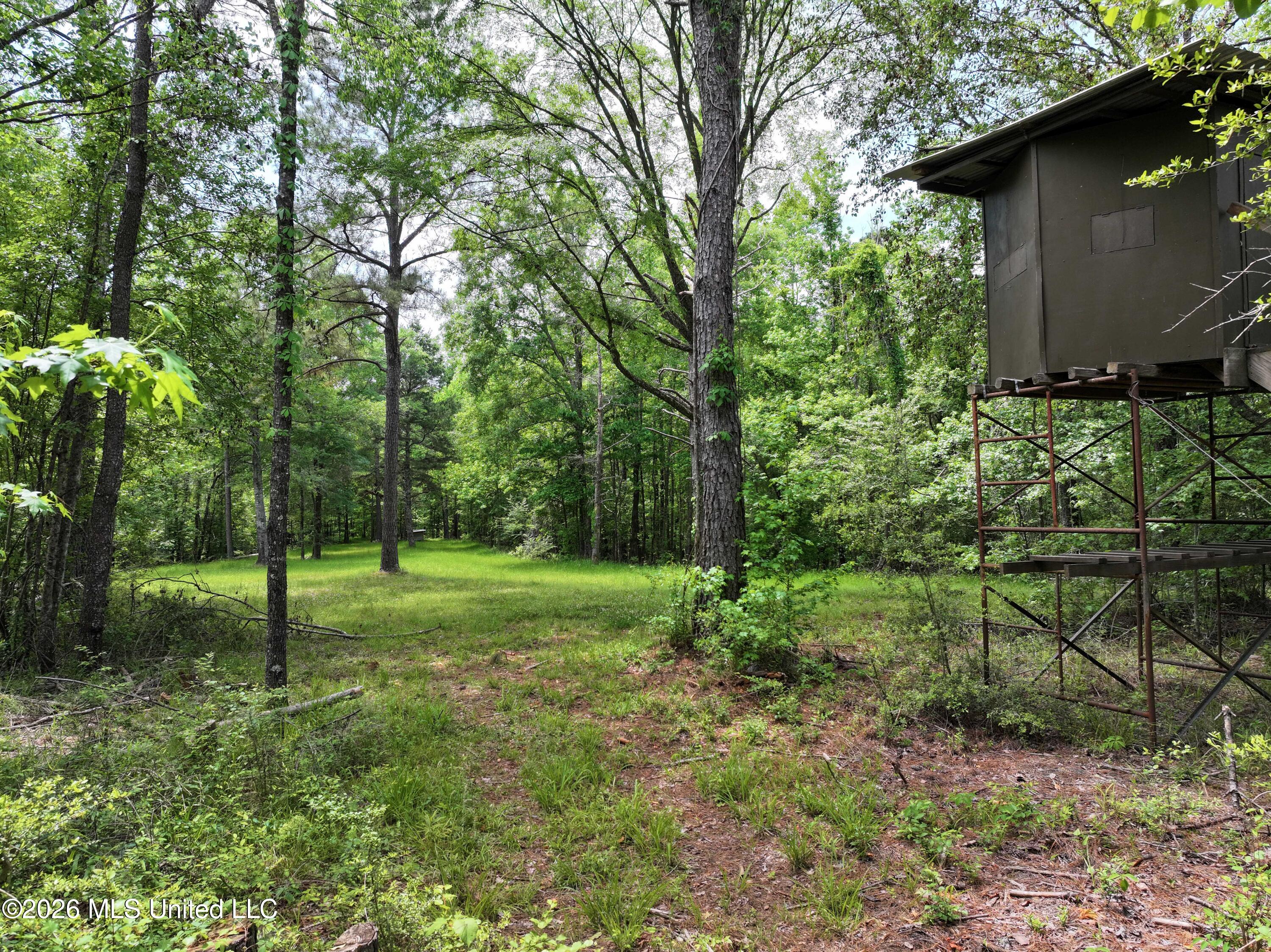 3029 Norman Road Hazlehurst, MS 39083 - Photo 49 of 55 3029 Norman Road Drone Pics and Videos (