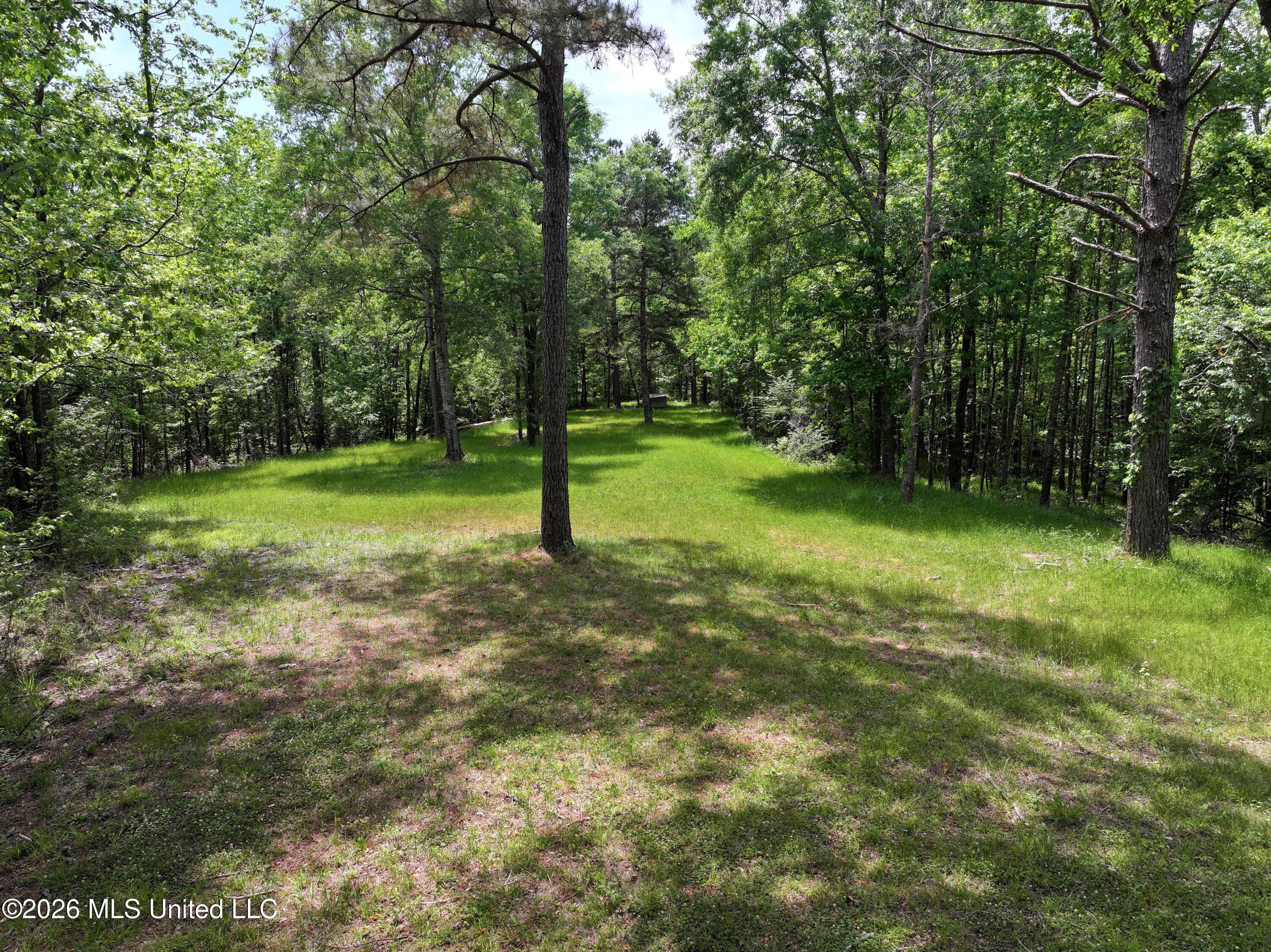 3029 Norman Road Hazlehurst, MS 39083 - Photo 50 of 55 3029 Norman Road Drone Pics and Videos (