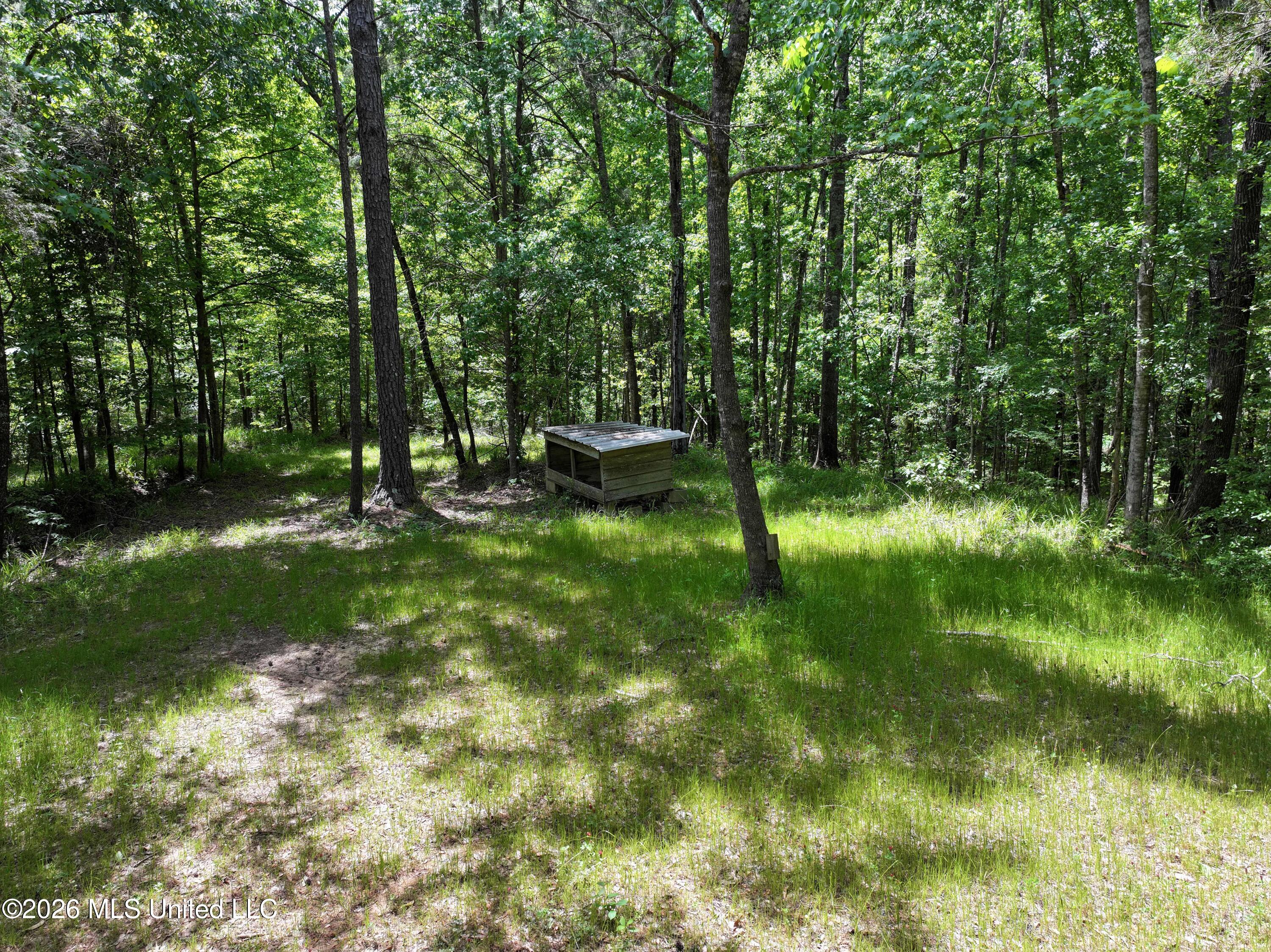 3029 Norman Road Hazlehurst, MS 39083 - Photo 51 of 55 3029 Norman Road Drone Pics and Videos (