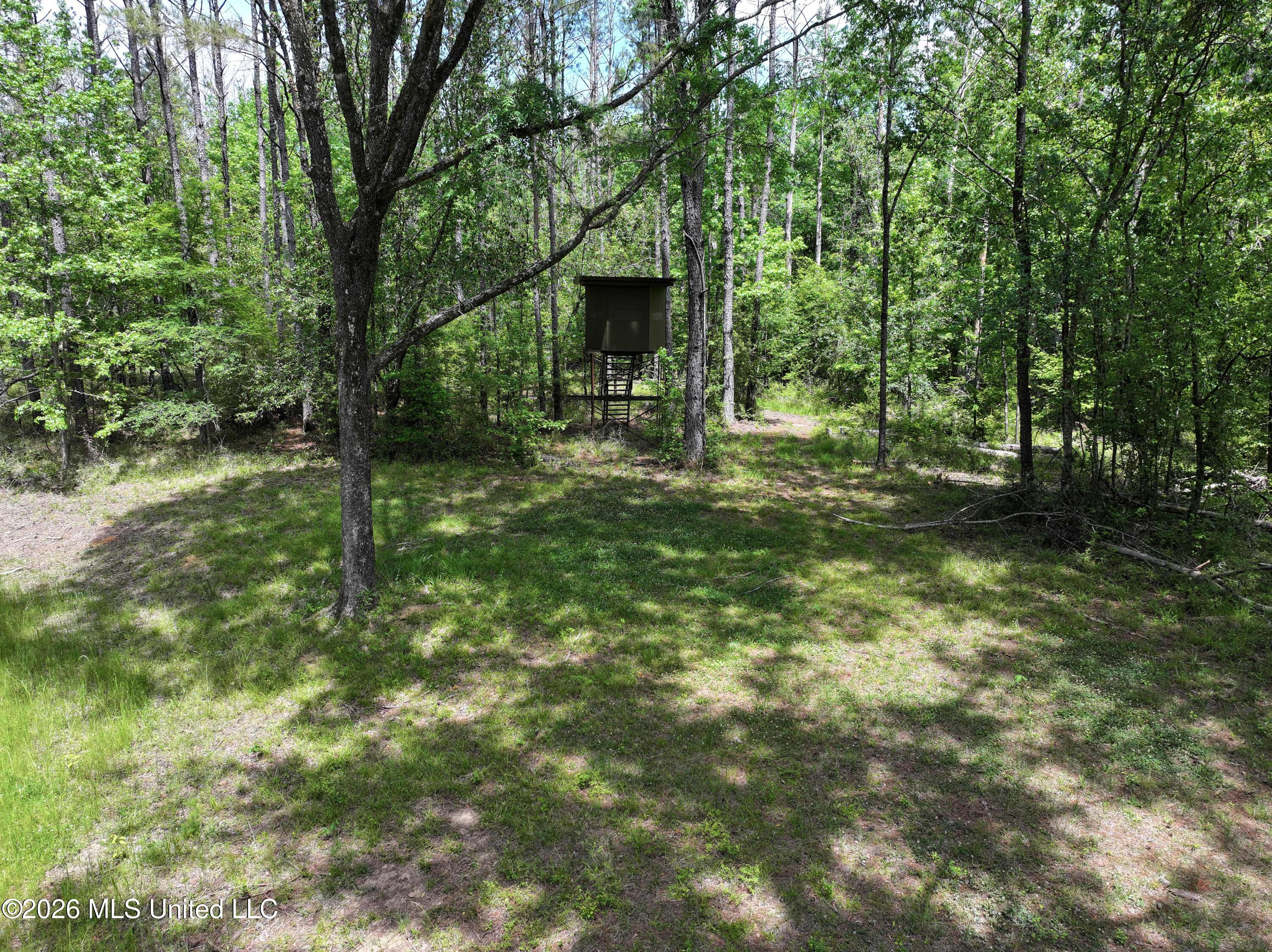 3029 Norman Road Hazlehurst, MS 39083 - Photo 52 of 55 3029 Norman Road Drone Pics and Videos (